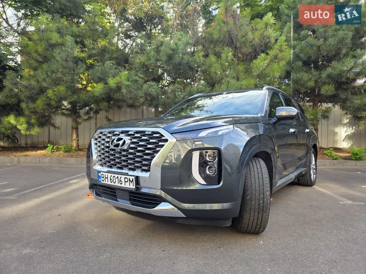 Hyundai Palisade 2019 photo 4