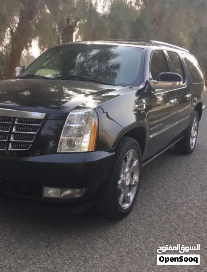 Cadillac Escalade 2009 photo 5