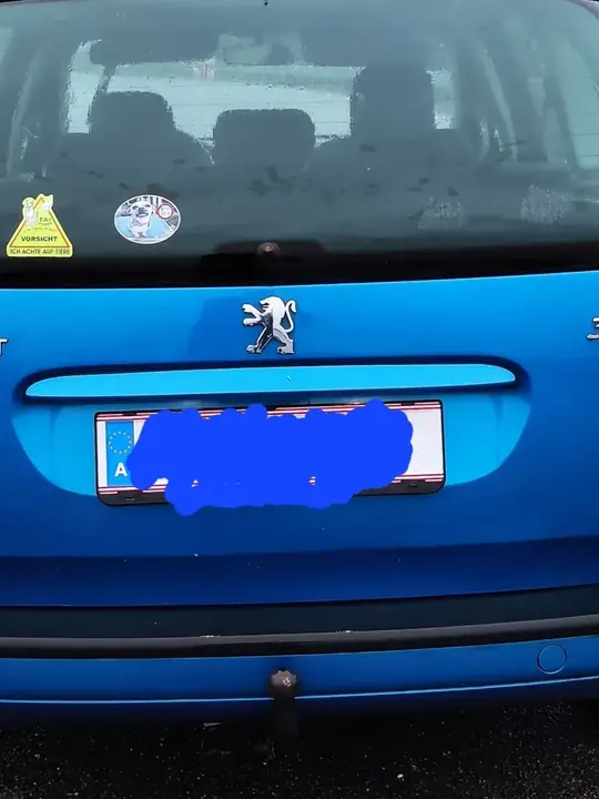 Peugeot 307 2002 photo 2