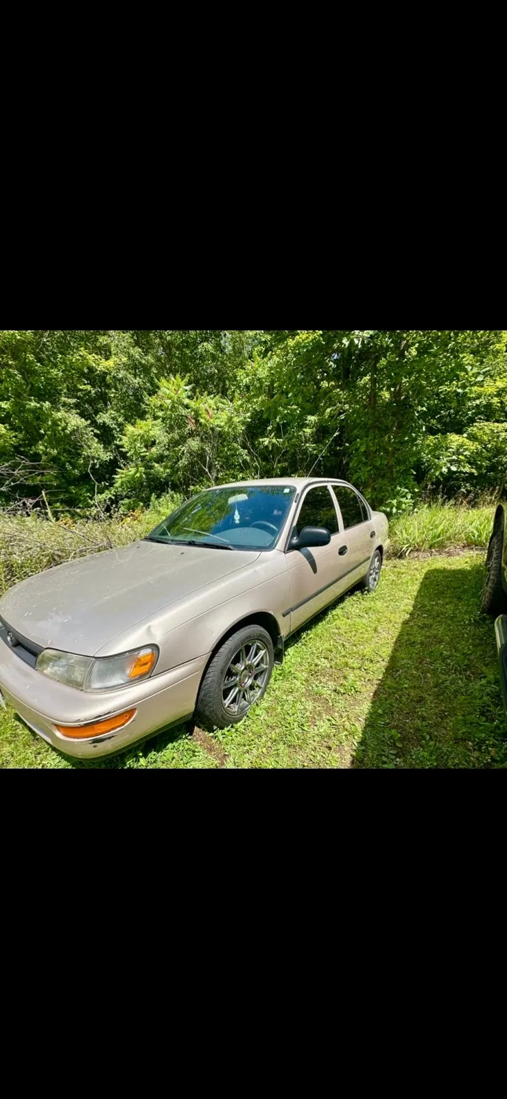 Toyota Corolla 1994 photo 3