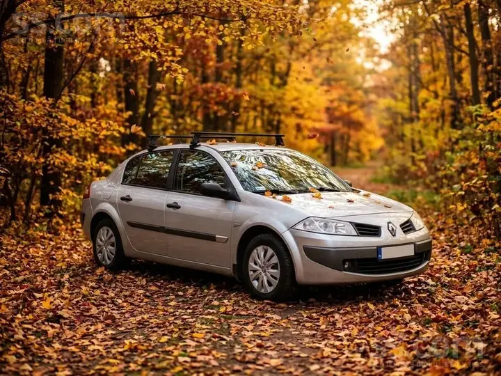 Renault Megane 2005 photo 3