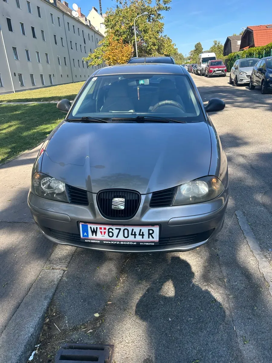 Seat Ibiza 2002 photo 3