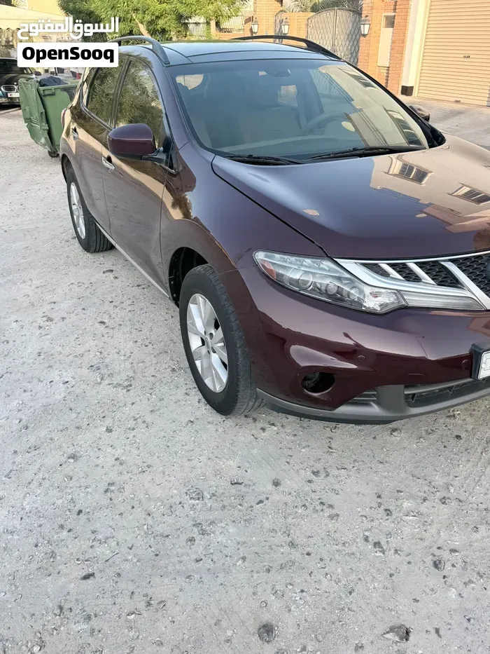 Nissan Murano 2013 photo 4
