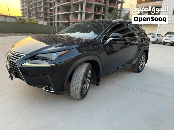 Lexus Nx 300 2018 photo 2