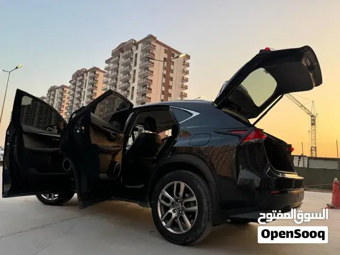 Lexus Nx 300 2018 photo 3