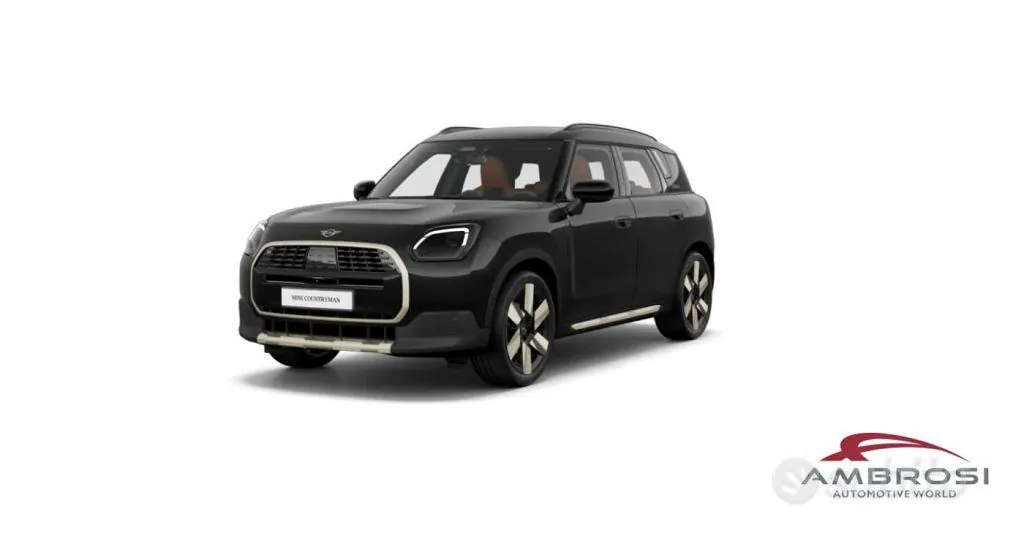 Mini Countryman