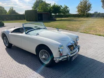 MG Mga