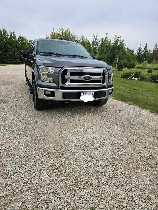 Ford F-150 2015 photo 3