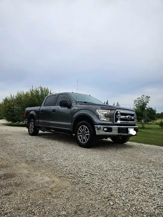 Ford F-150 2015 photo 2