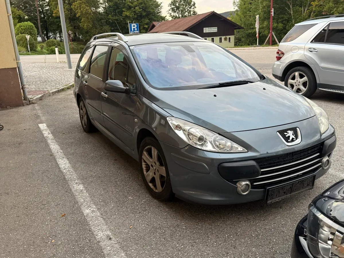 Peugeot 307 2007 photo 2