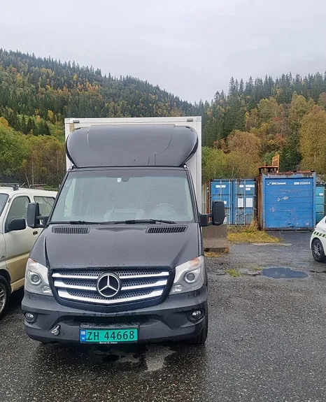 Mercedes-Benz Sprinter 316 2015 photo 3