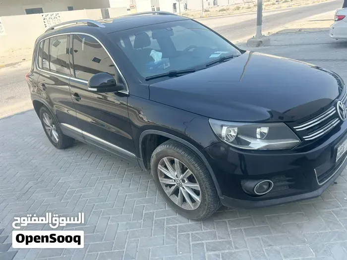 Volkswagen Tiguan 2015 photo 2