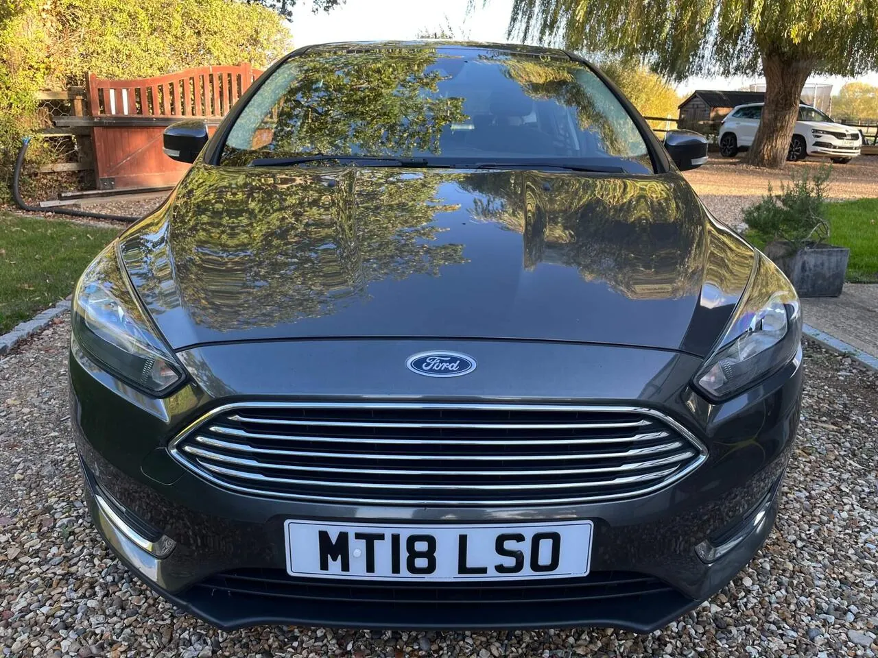 Ford Focus 2018 photo 2
