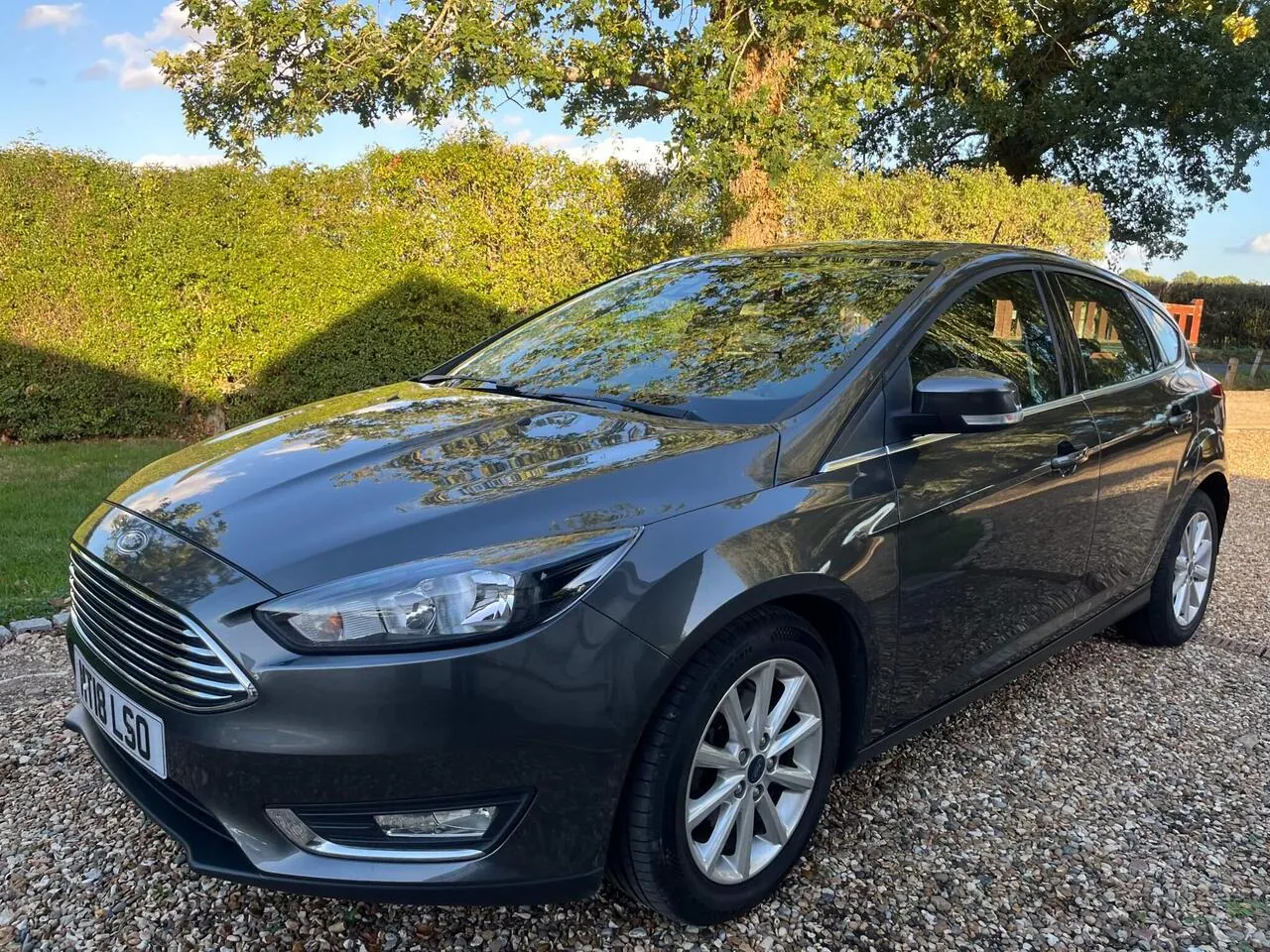 Ford Focus 2018 photo 3