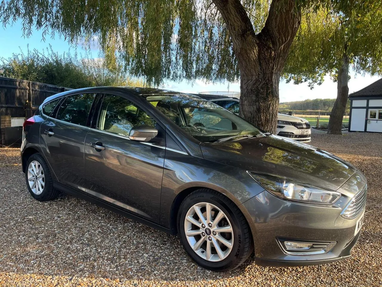 Ford Focus 2018 photo 5