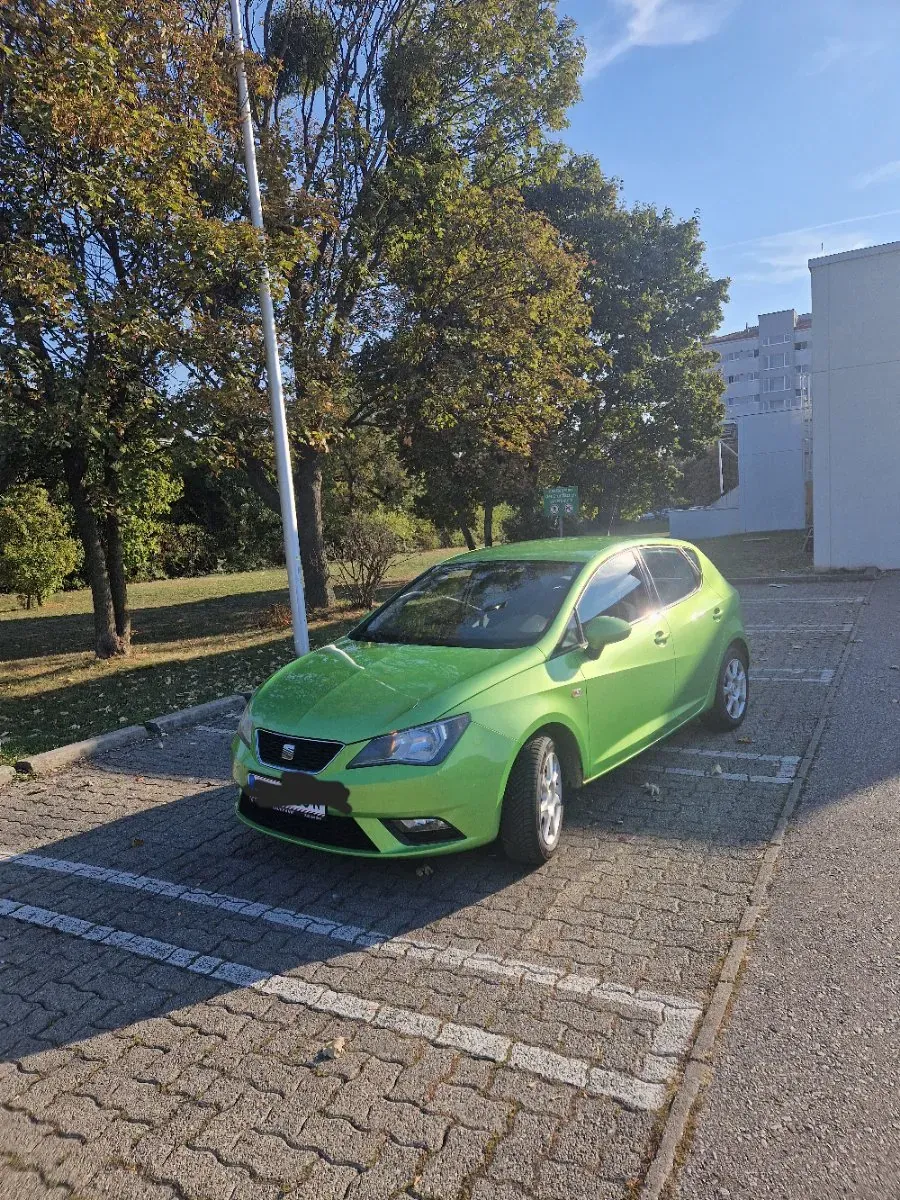 Seat Ibiza 2013 photo 2