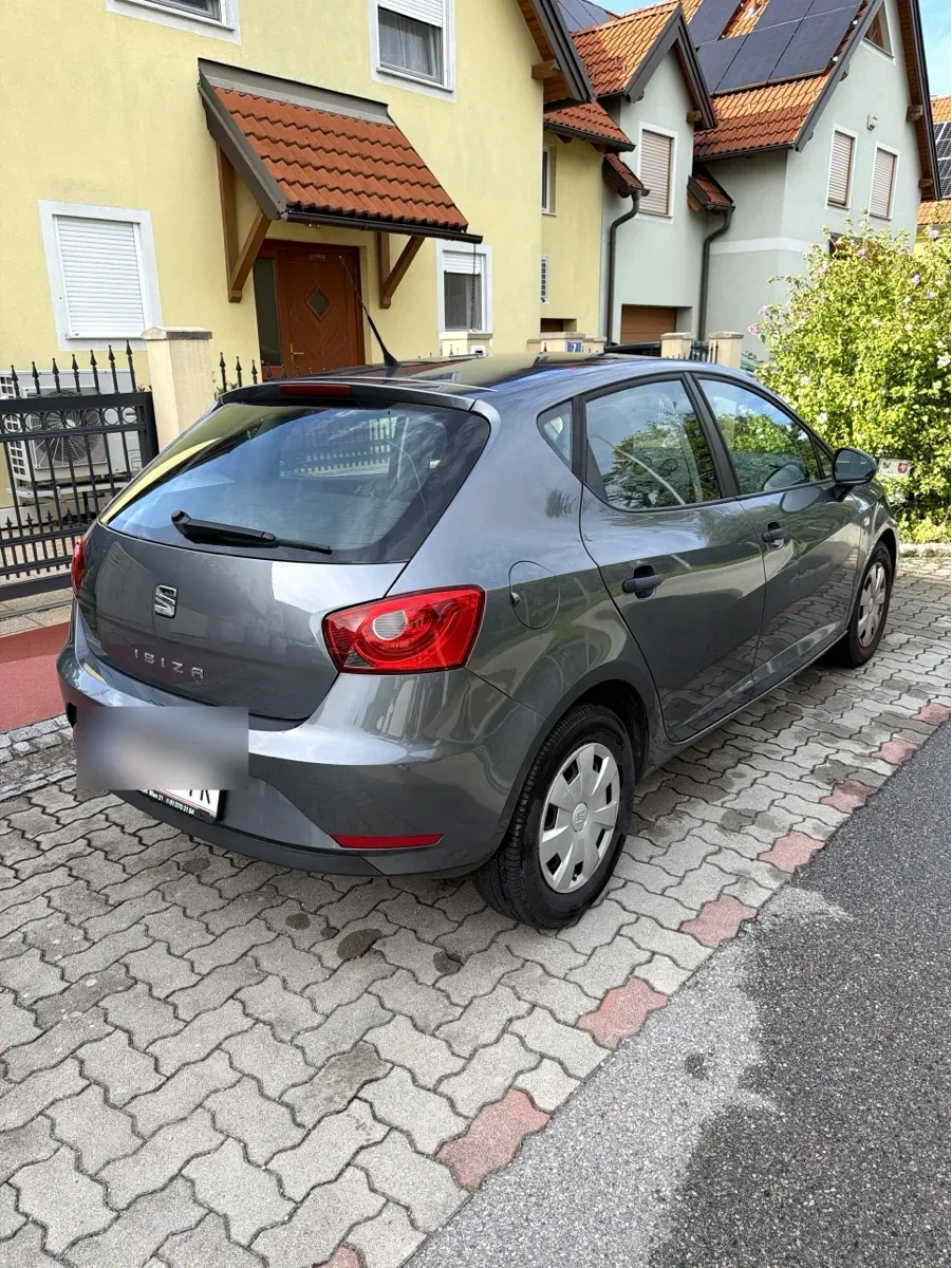 Seat Ibiza 2015 photo 2