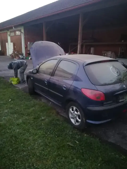 Peugeot 206