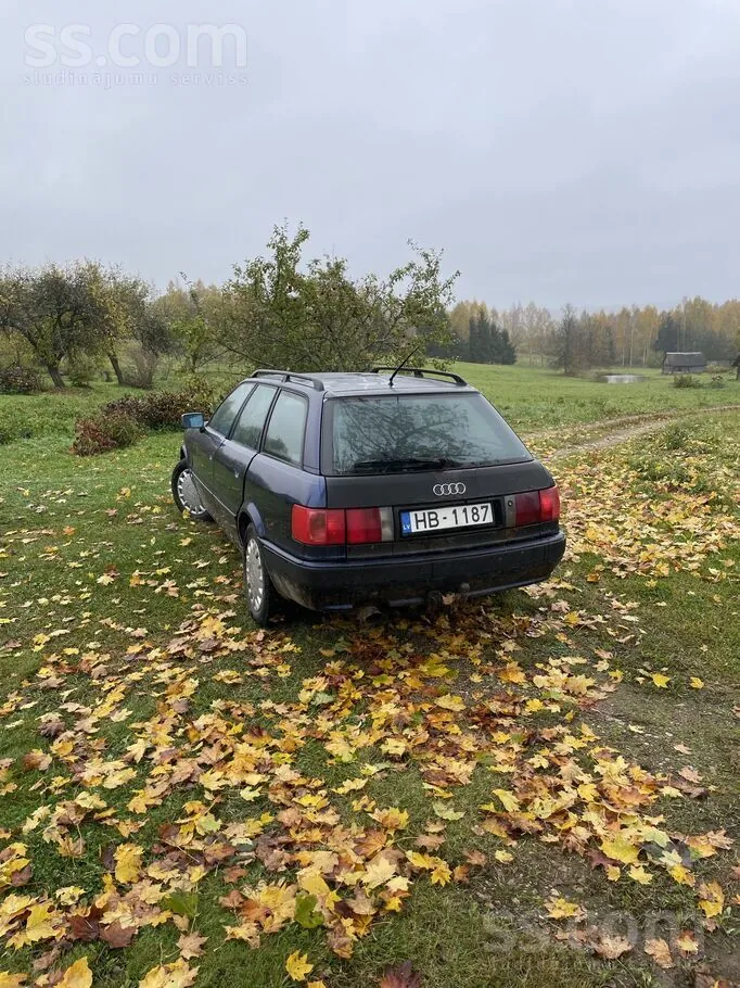 Audi 80 1994 photo 2