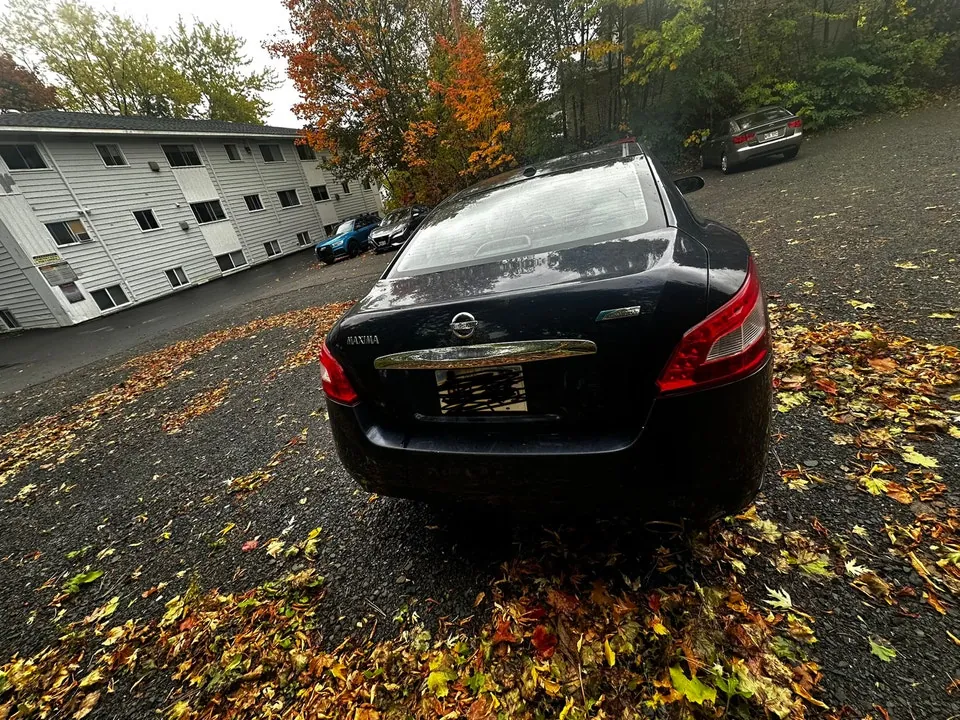 Nissan Maxima 2011 photo 4