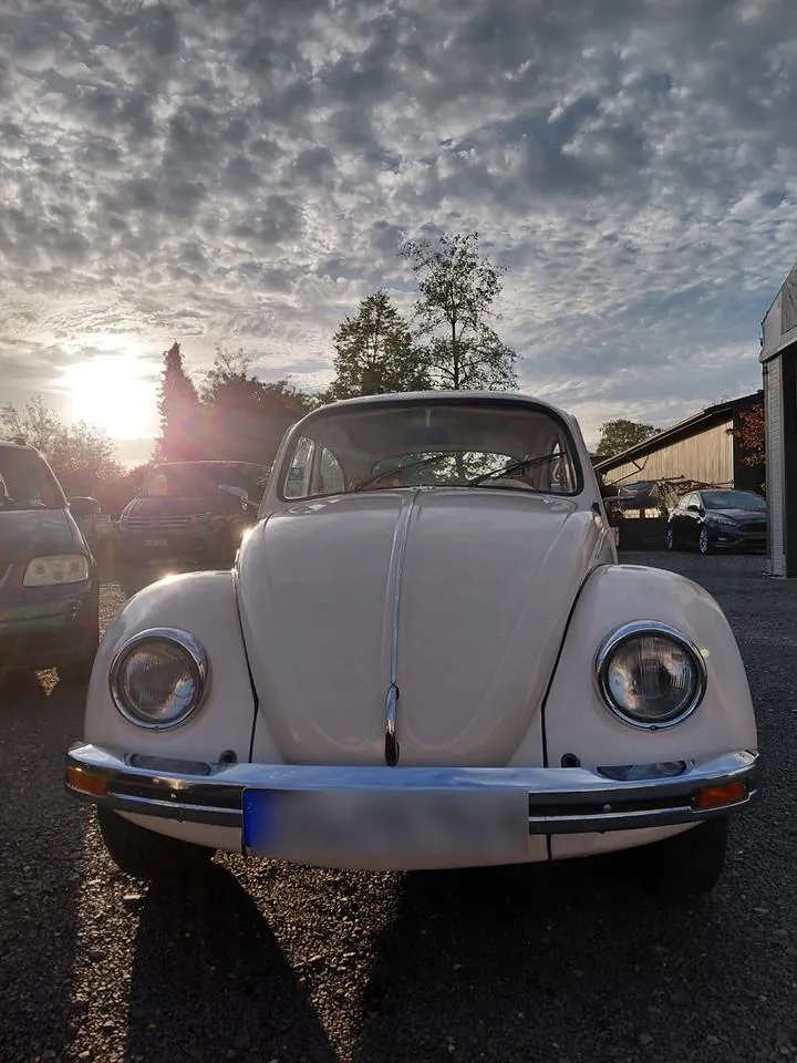 Volkswagen Käfer