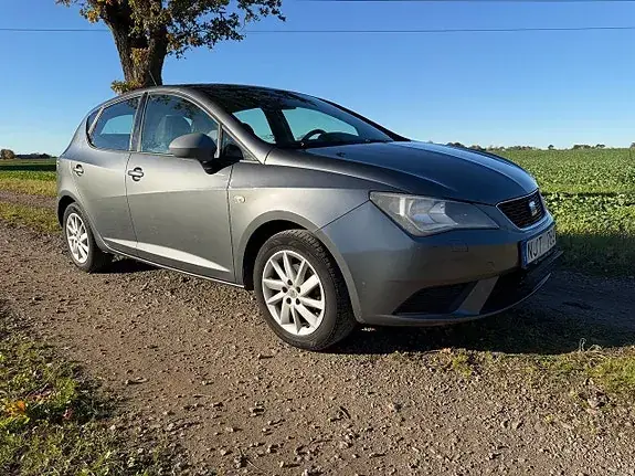 Seat Ibiza 2013 photo 2