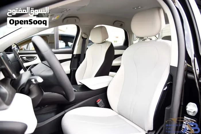 BYD Seal 2027 photo 4