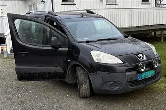 Peugeot Partner 2011 photo 3