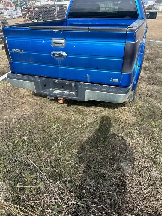 Ford F-150 2010 photo 3