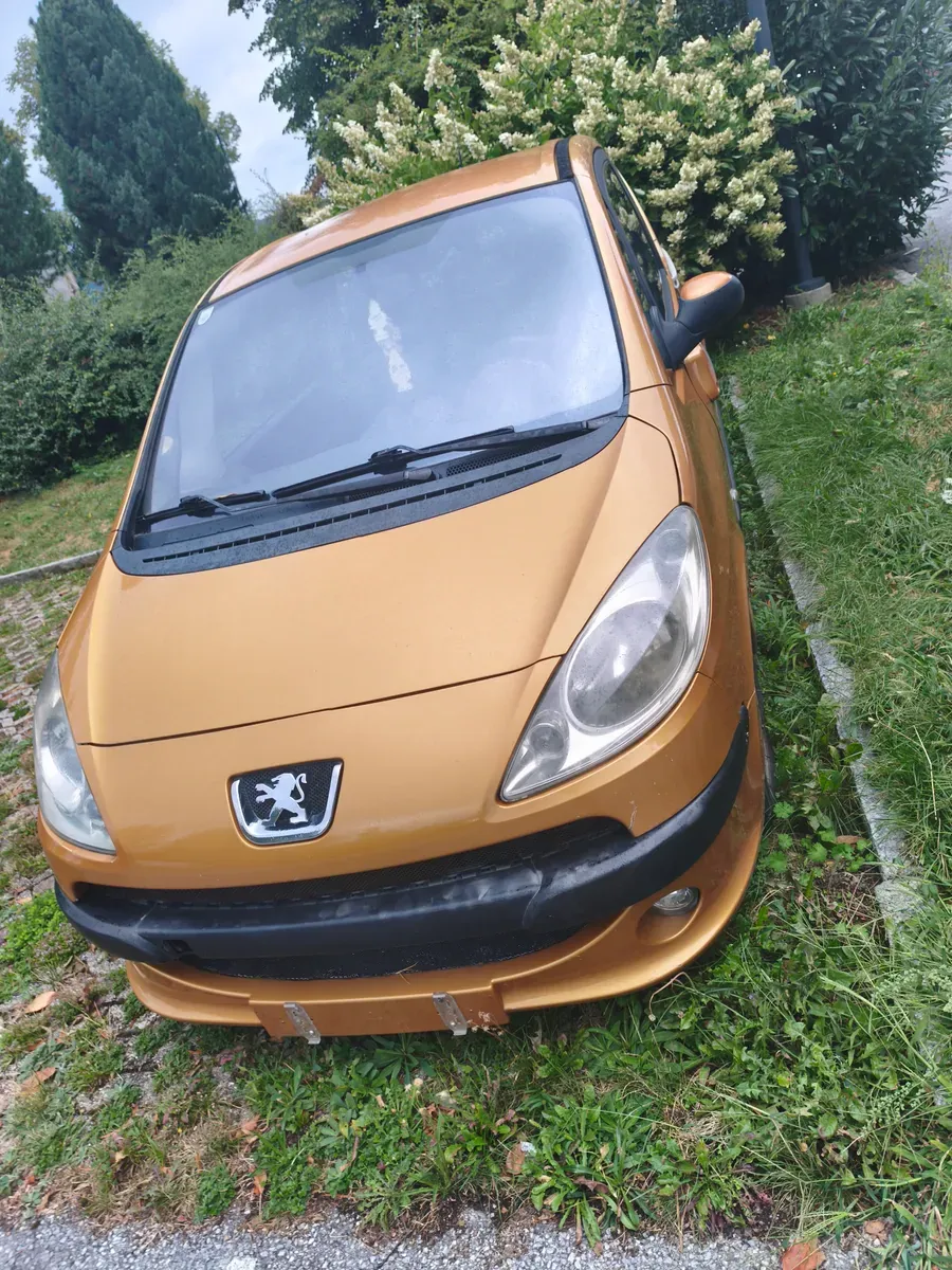 Peugeot 1007