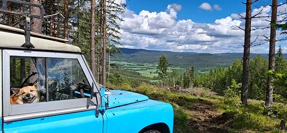 Land Rover Serie Iia