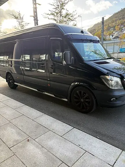 Mercedes-Benz Sprinter 319