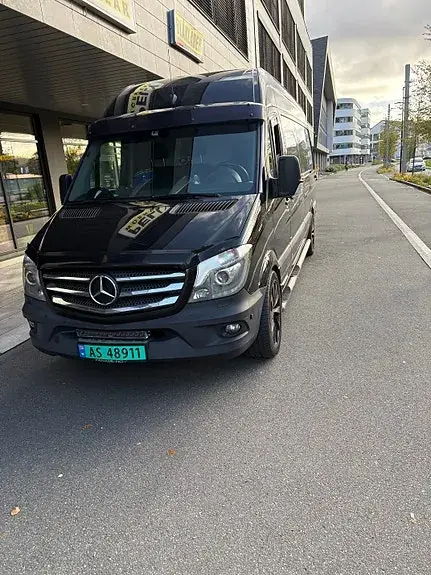 Mercedes-Benz Sprinter 319 2016 photo 2
