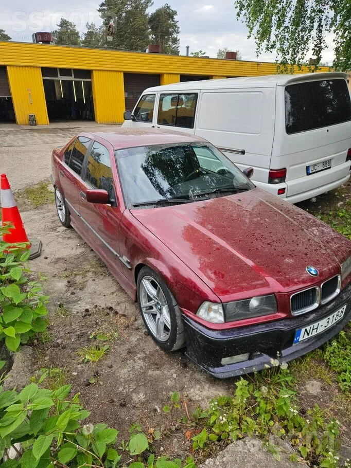 BMW 323