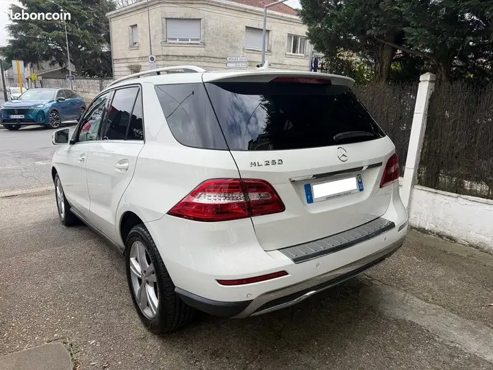 Mercedes-Benz Ml 250 Bluetec 2013 photo 5