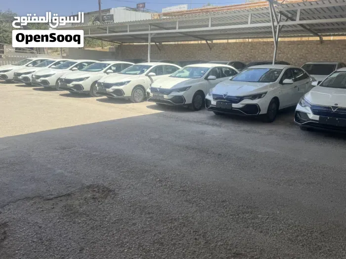 Dongfeng D60 Pro 2023 photo 4