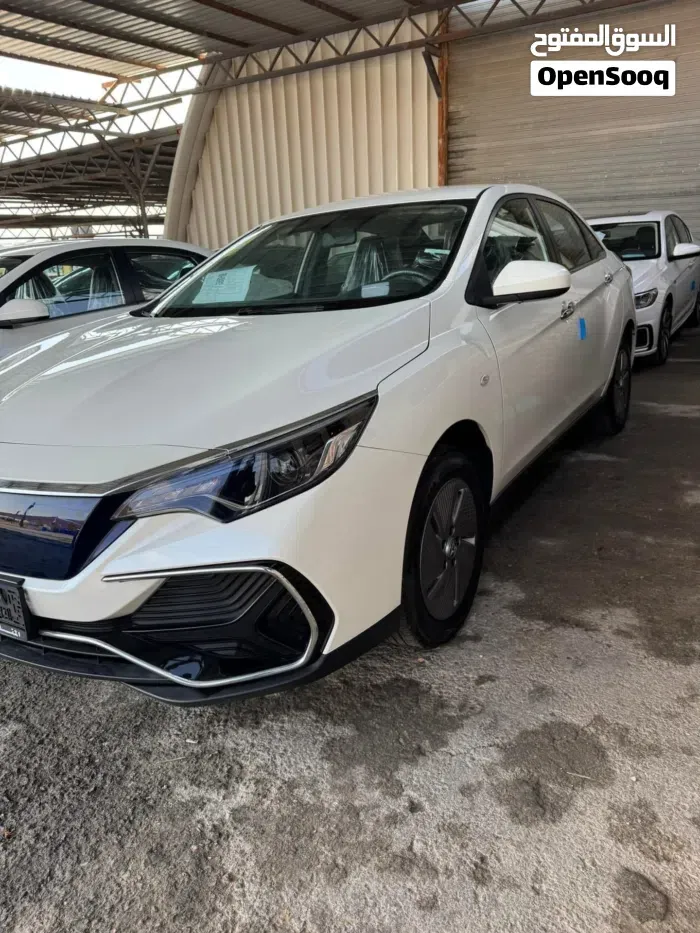 Dongfeng D60 Pro 2023 photo 2
