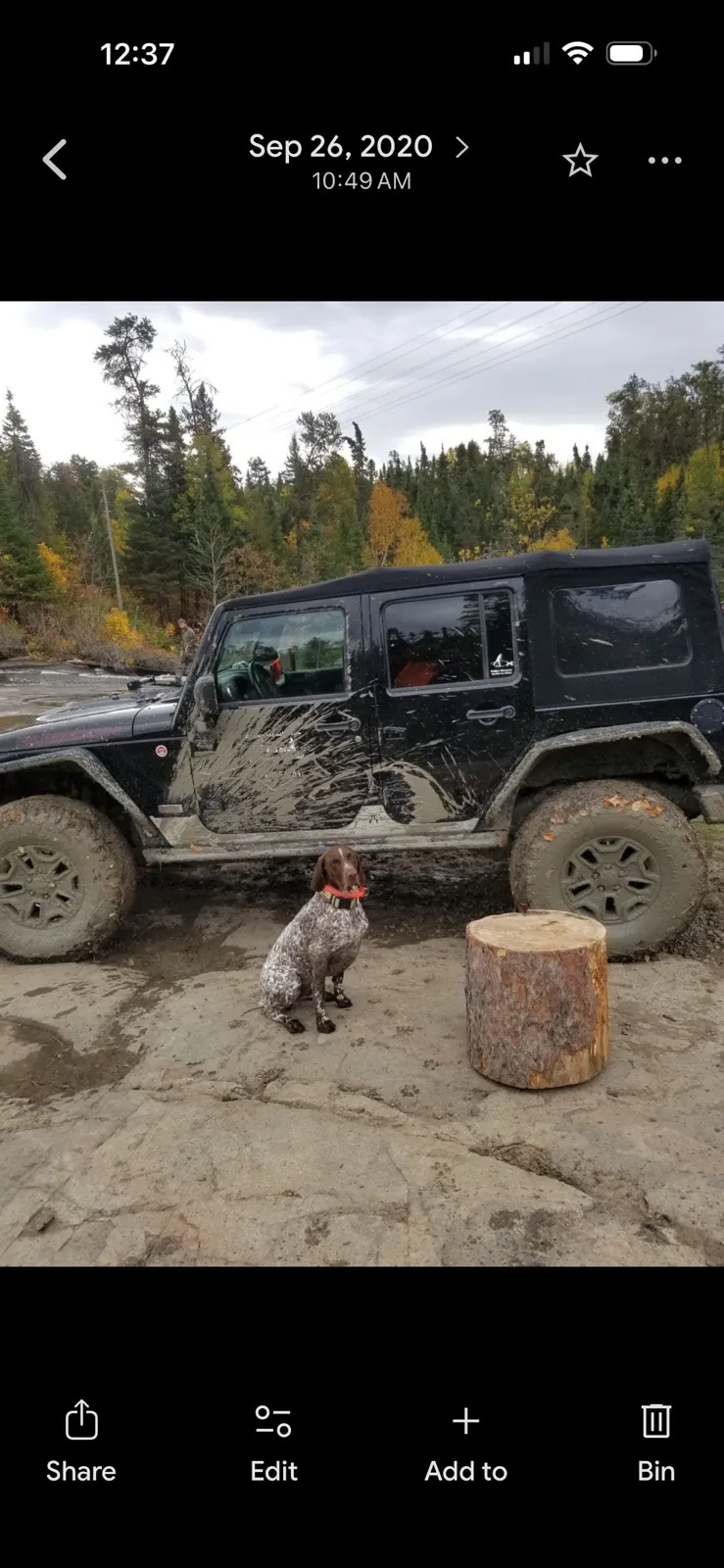 Jeep Wrangler 2013 photo 5