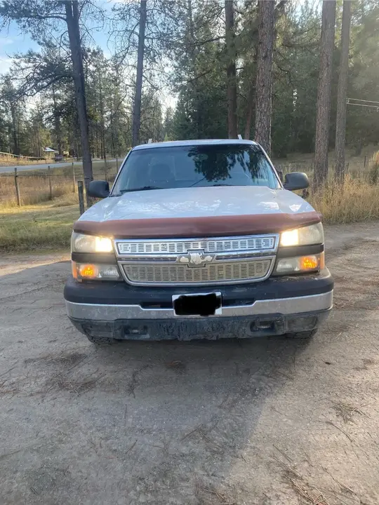 Chevrolet Silverado 1500 2006 photo 3