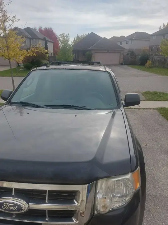 Ford Escape 2010 photo 4