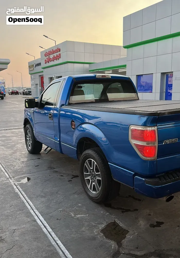 Ford F-150 2014 photo 2