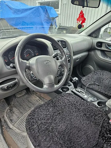 Hyundai Santa Fe 2004 photo 3