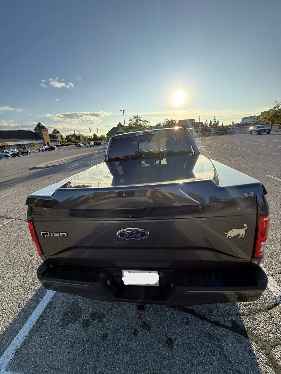 Ford F-150 2015 photo 5