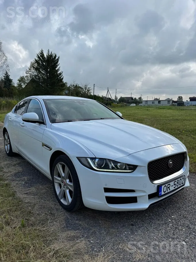 Jaguar Xe 2017 photo 3