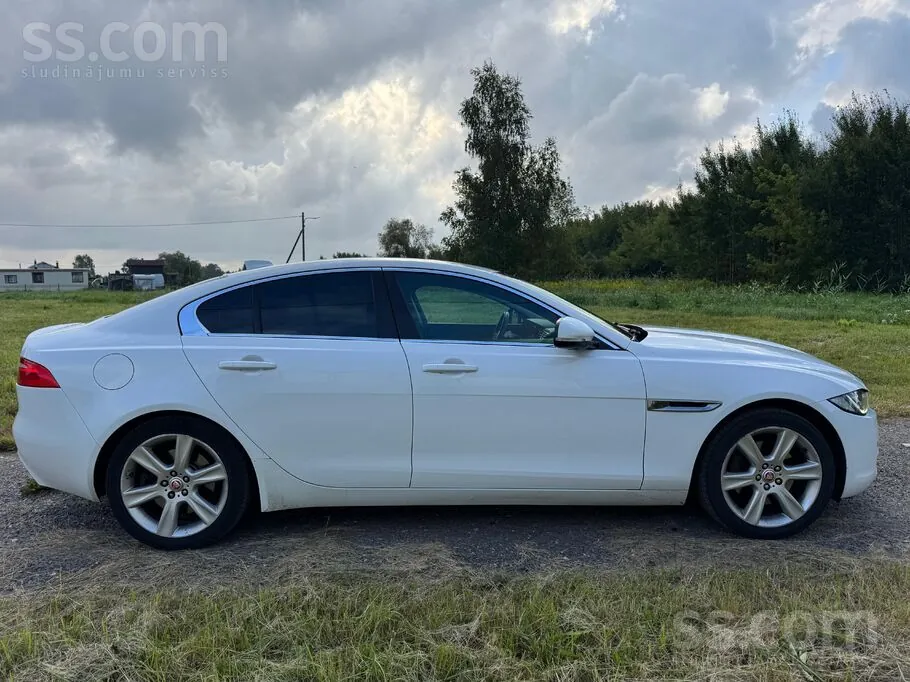 Jaguar Xe 2017 photo 4