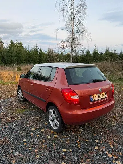 Skoda Fabia 2008 photo 2