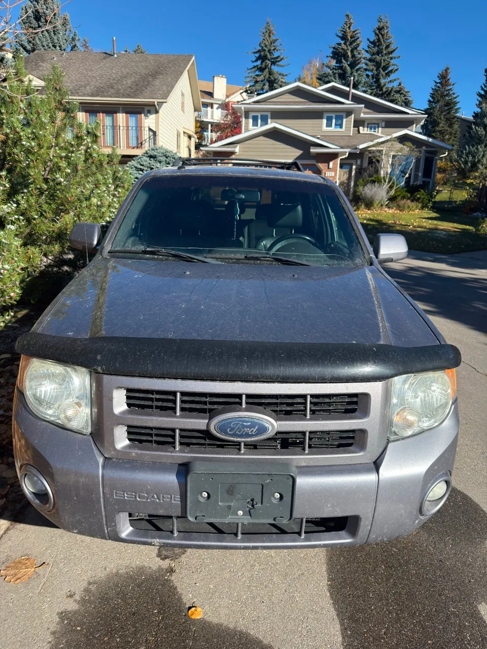 Ford Escape 2008 photo 2