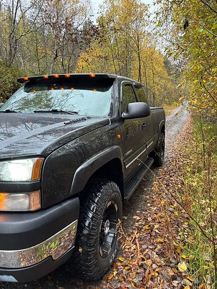 Chevrolet Silverado 2500 2003 photo 3