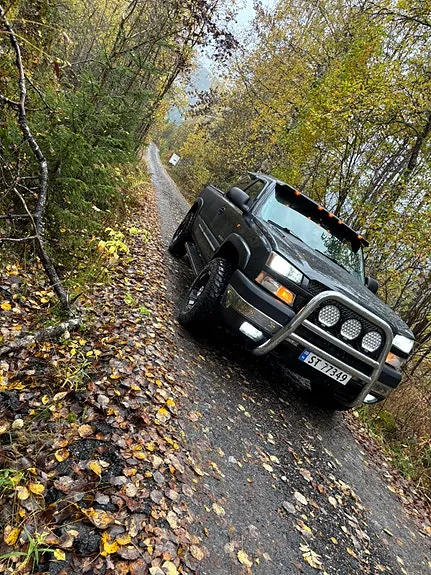 Chevrolet Silverado 2500 2003 photo 2