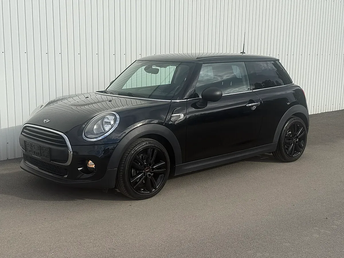 Mini Mini Hatch One